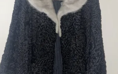 January 2023: Murphy’s Fur Coat