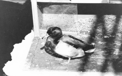 July 2025: Mr Millard